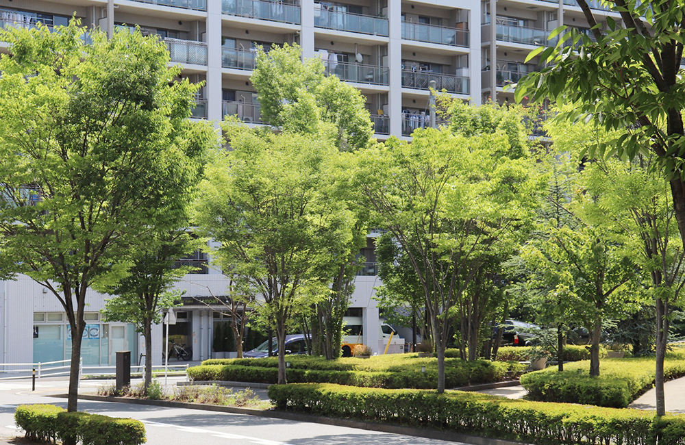 バス送迎エリア